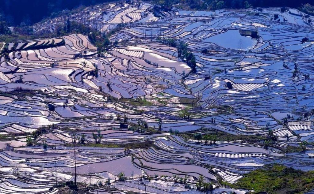 重慶出發(fā)云南6日自駕游：建水古城-元陽梯田-蒙自-碧色寨追憶芳華-羅平油菜花6日自駕之旅