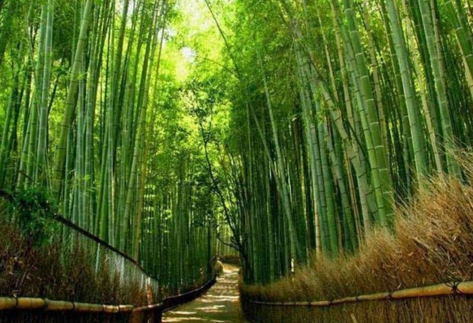 北京出發(fā)河南6日自駕：秋溝、地坑院、死海運城鹽湖、王府竹海6日自駕