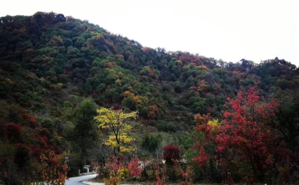 北京出發(fā)東北6日自駕游：關(guān)門山森林公園-本恒公路-虎山長城-全程五星酒店6日自駕游