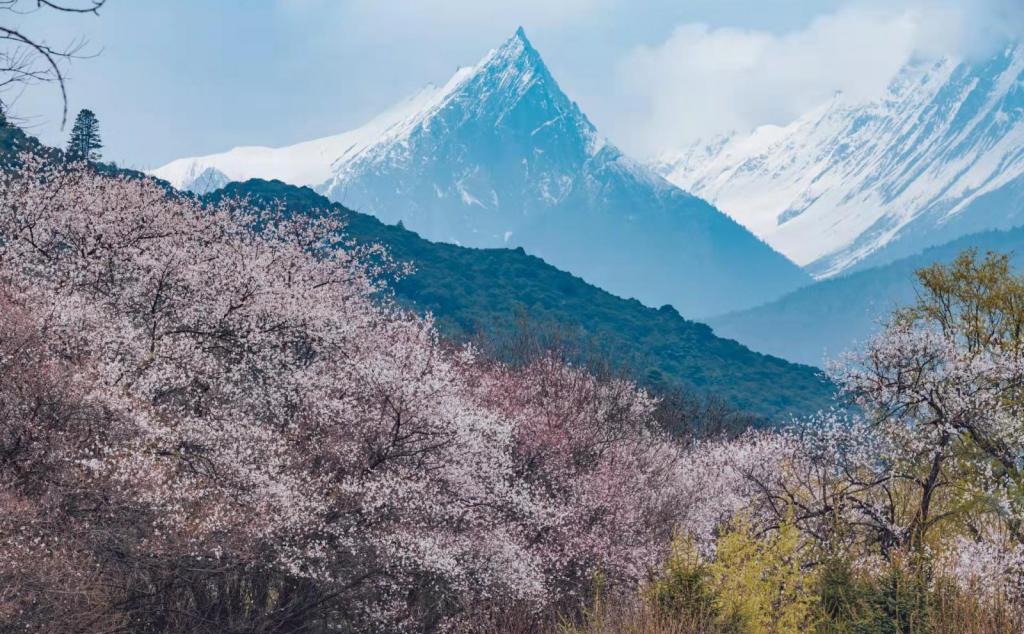 全國出發(fā)西藏林芝桃花節(jié)16日自駕路書：林芝桃花-秘境墨脫-國民公路G318-拉薩-青藏線16日自駕游